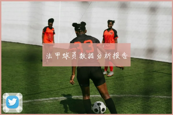 法甲球员数据分析报告