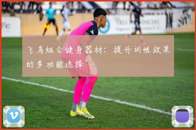 飞鸟组合健身器材：提升训练效果的多功能选择