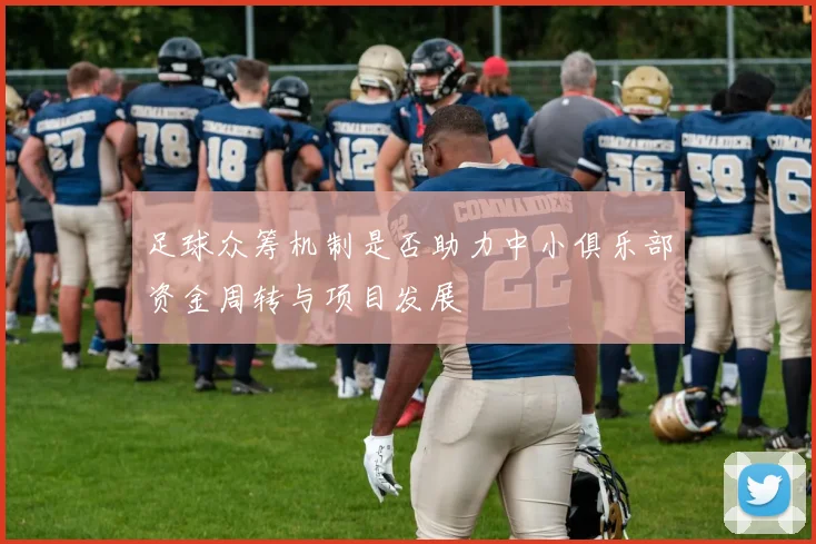 足球众筹机制是否助力中小俱乐部资金周转与项目发展